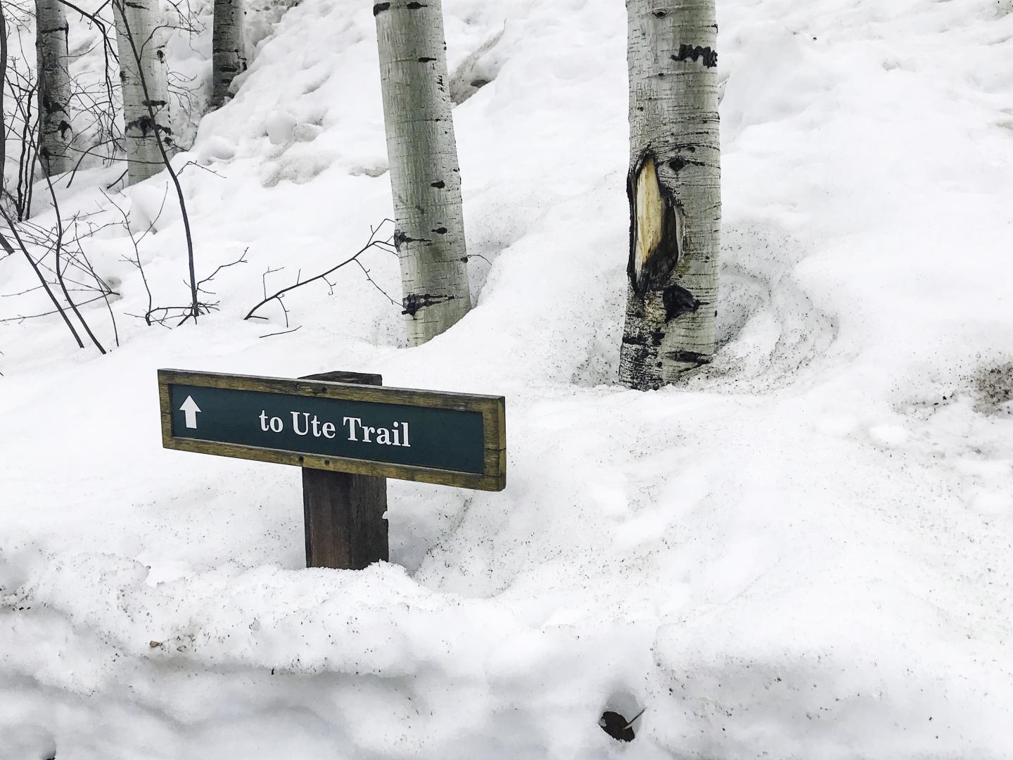 A wayfinding sign in the snow