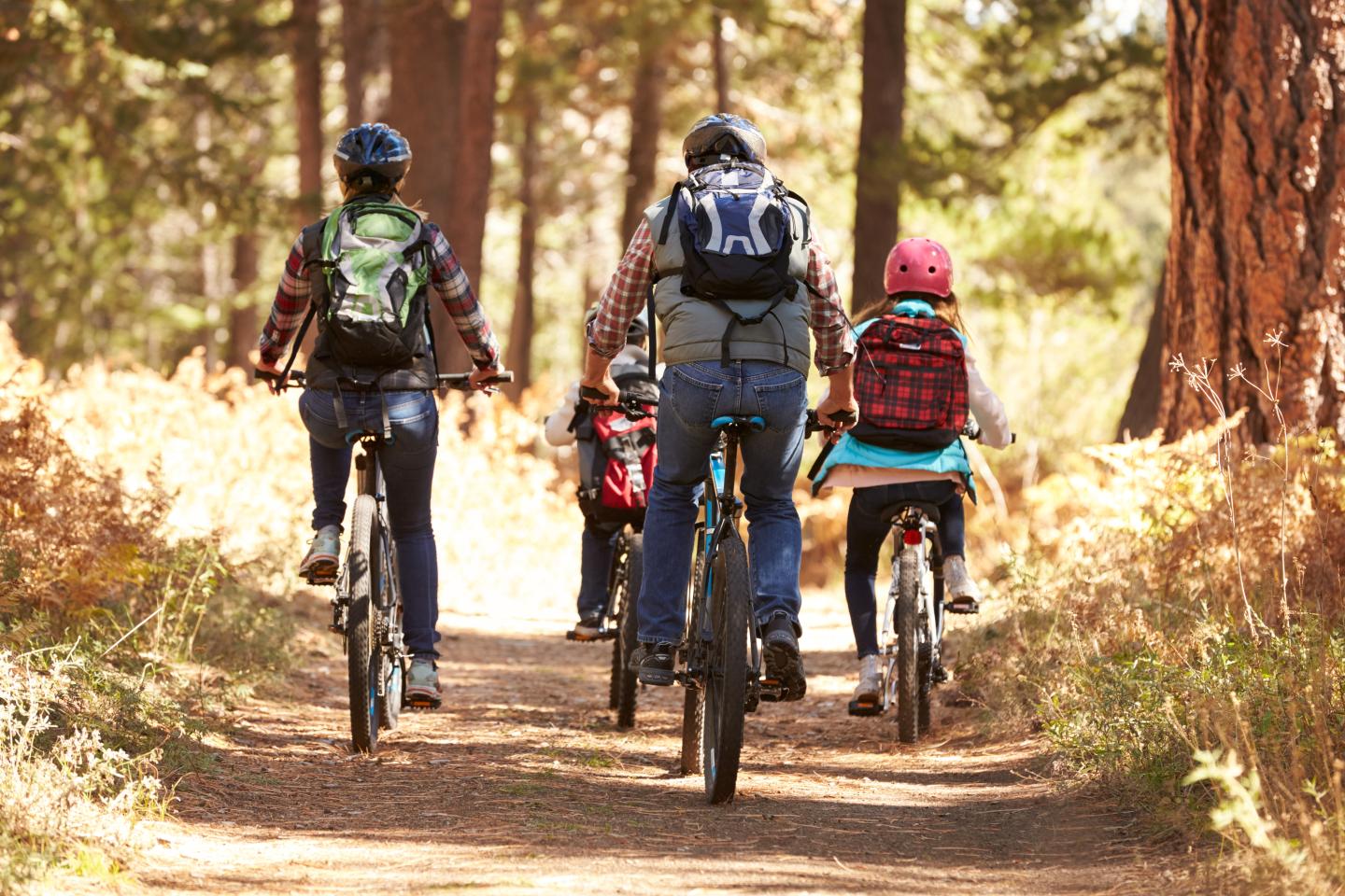 A family biking on a trail