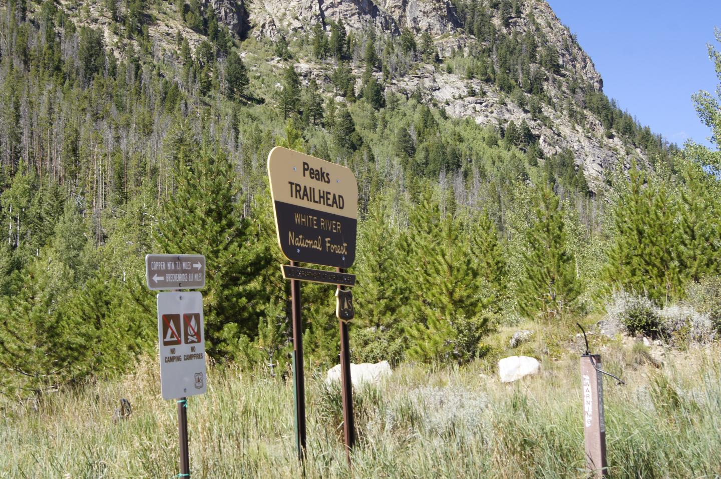 A forest wayfinding sign