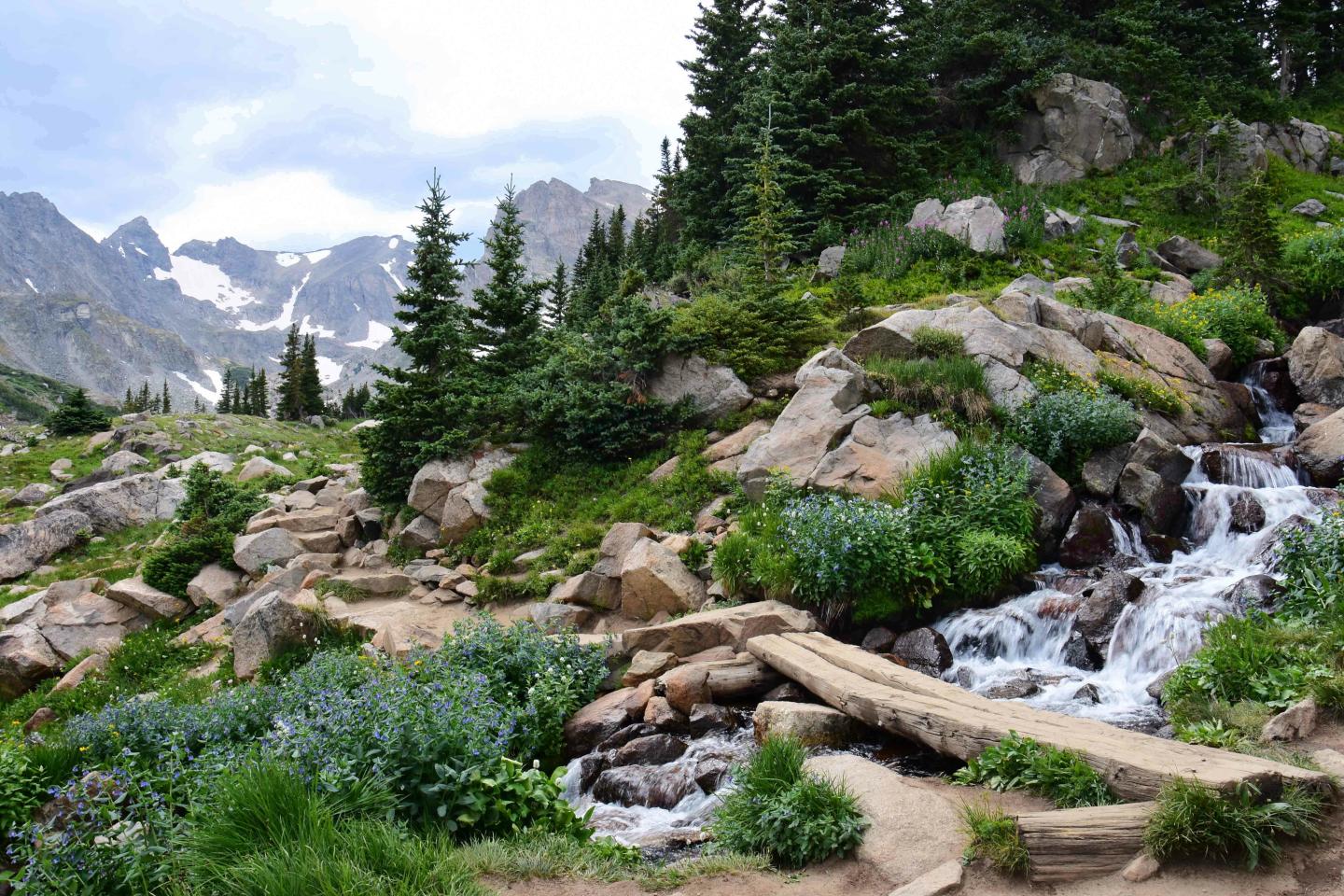 A hiking trail in the mountains