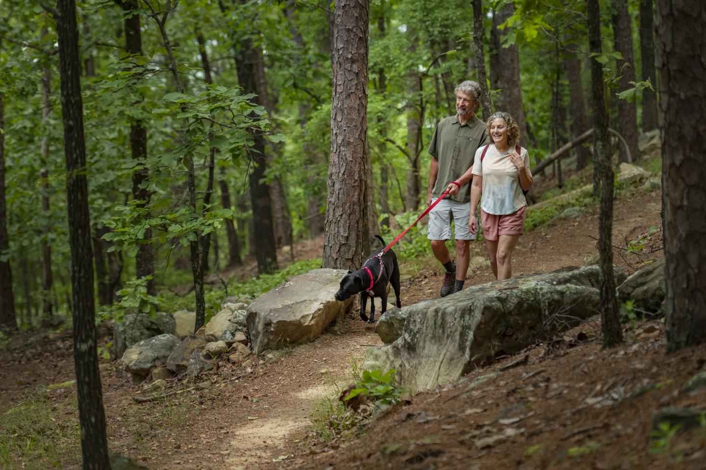 A couple walking their dog through a forest