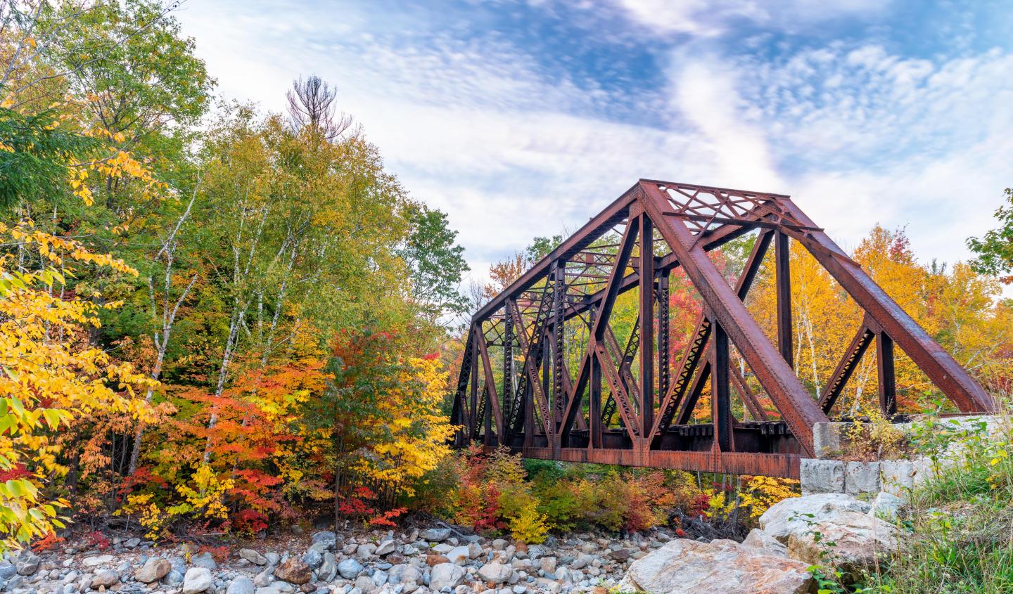 An industrial bridge in a forest