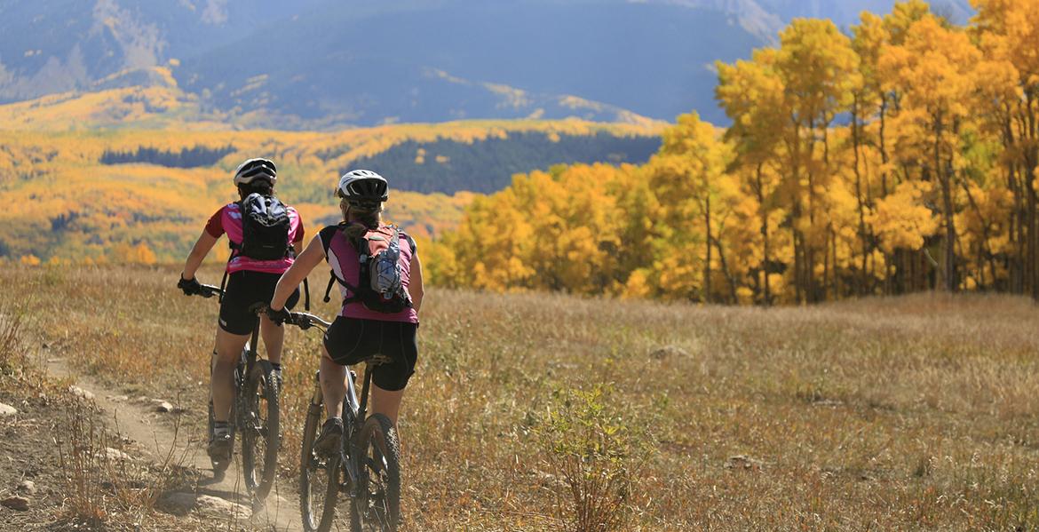 Two people biking on a trail