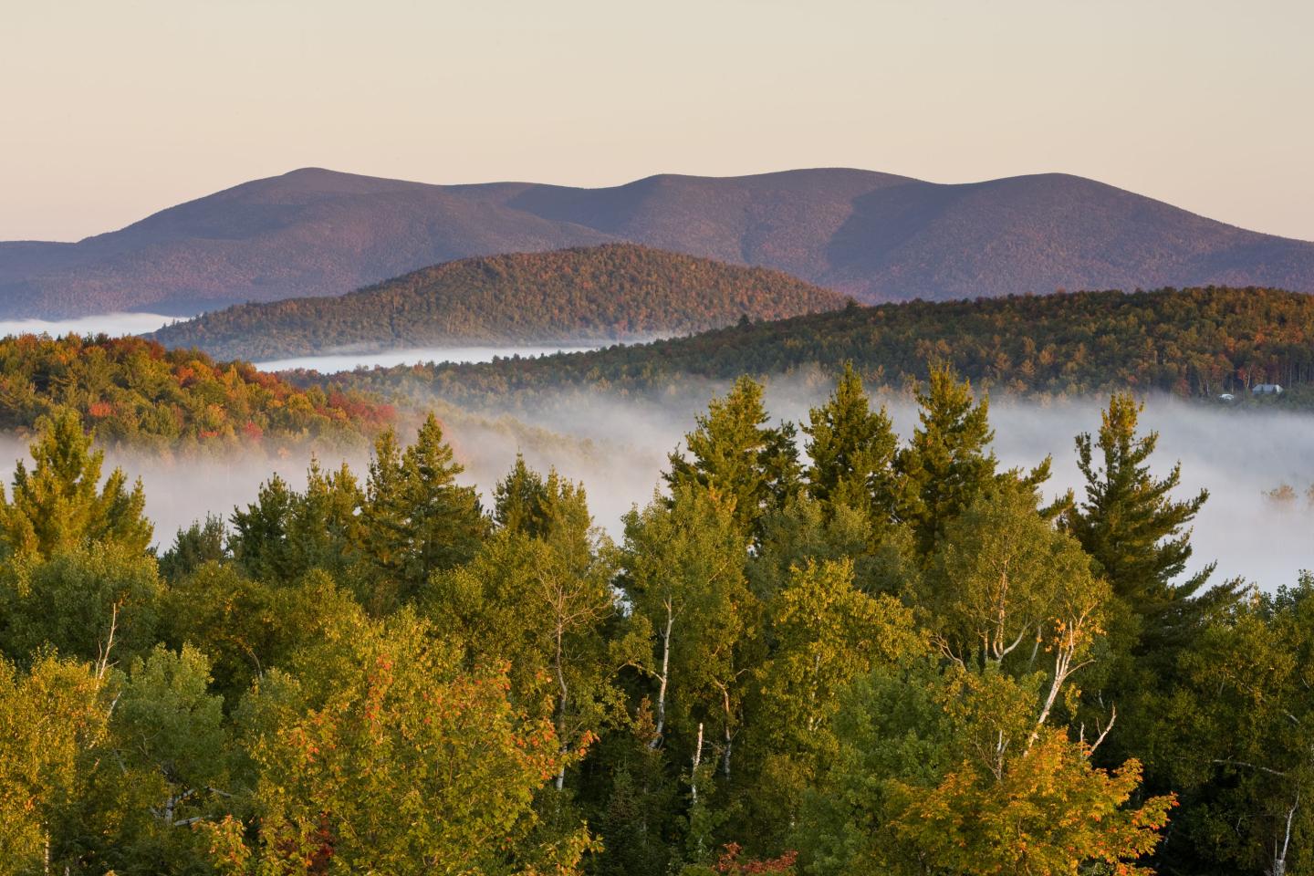 View of the mountains