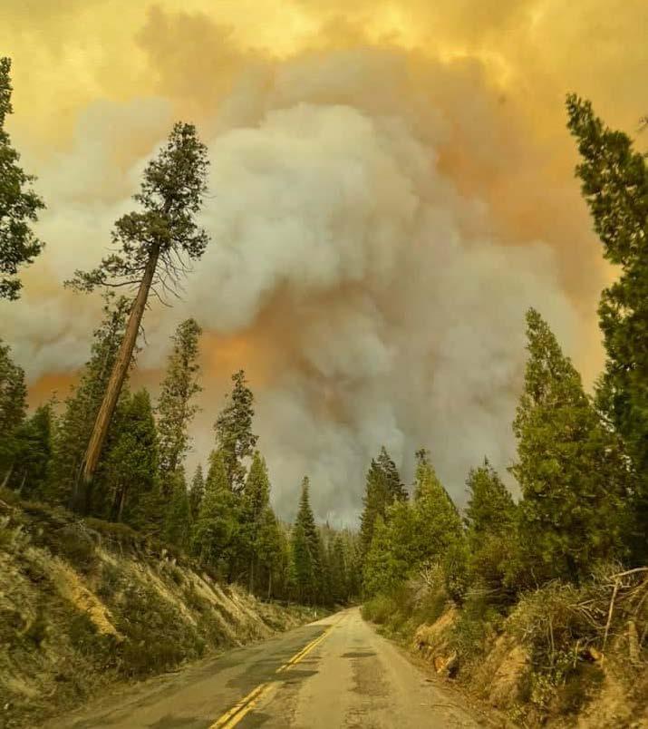 Road with trees and fire smoke in the distance