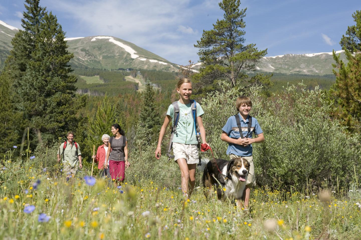 Hikers and a dog walk through a meadow with mountains in the background.