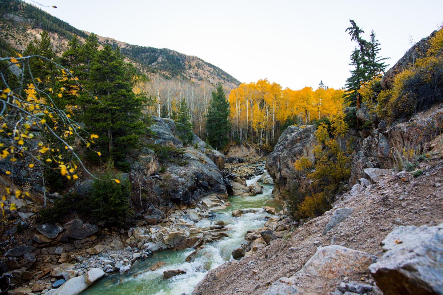 Mountain stream with yellow autumn trees and rocky banks.
