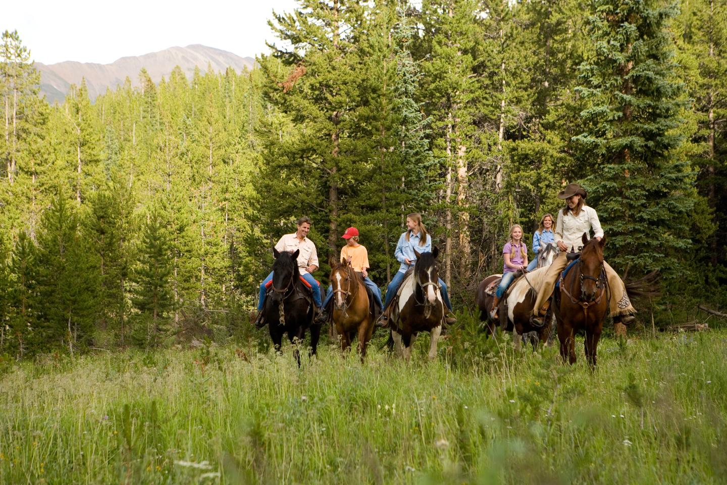 Five people riding horses in a lush green forest clearing.