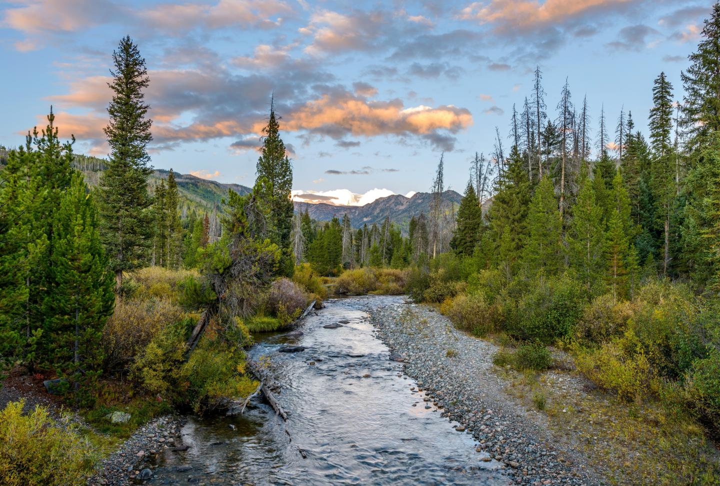 Mountain stream with pine trees under a colorful sunset sky.