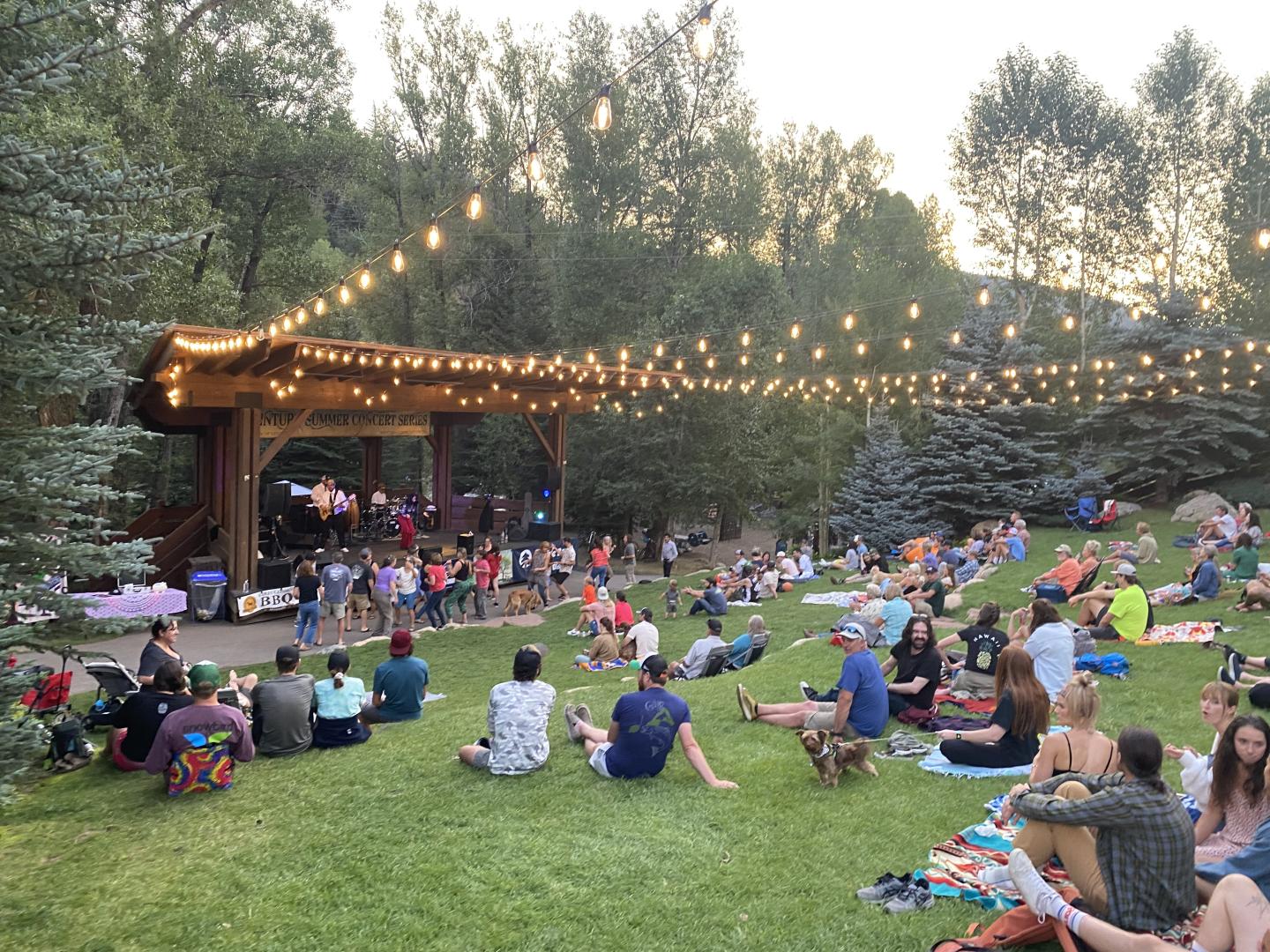 Outdoor concert with audience seated on grassy hillside, string lights above.