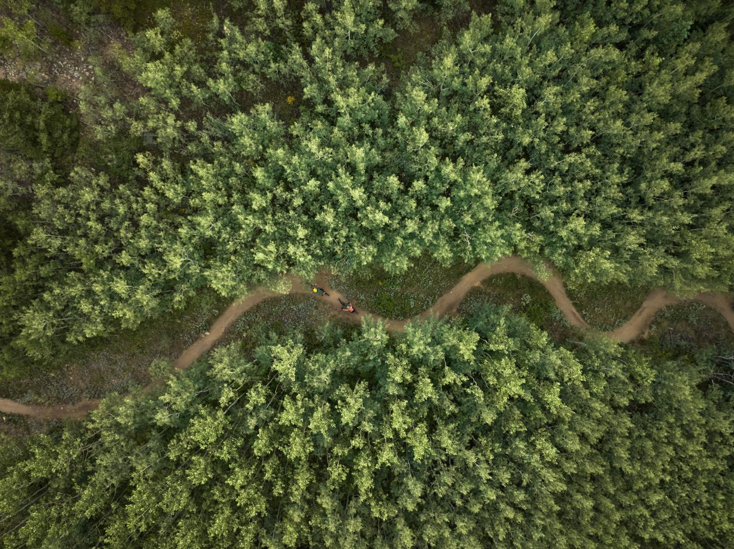 Nederland trail from above