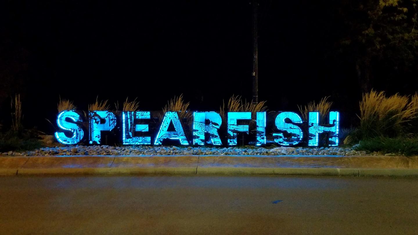 Spearfish sign illuminated at night in blue, surrounded by plants.