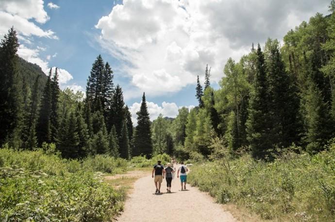 Pathway through lush forest with people walking under a partly cloudy sky.