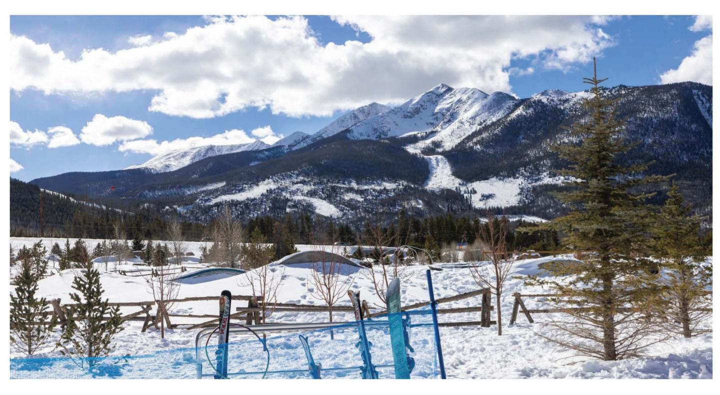 Frisco backyard vis sim