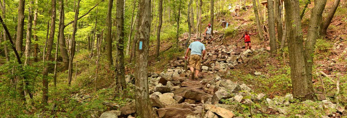 The Thousand Steps Trail. Photo courtesy Visit PA.
