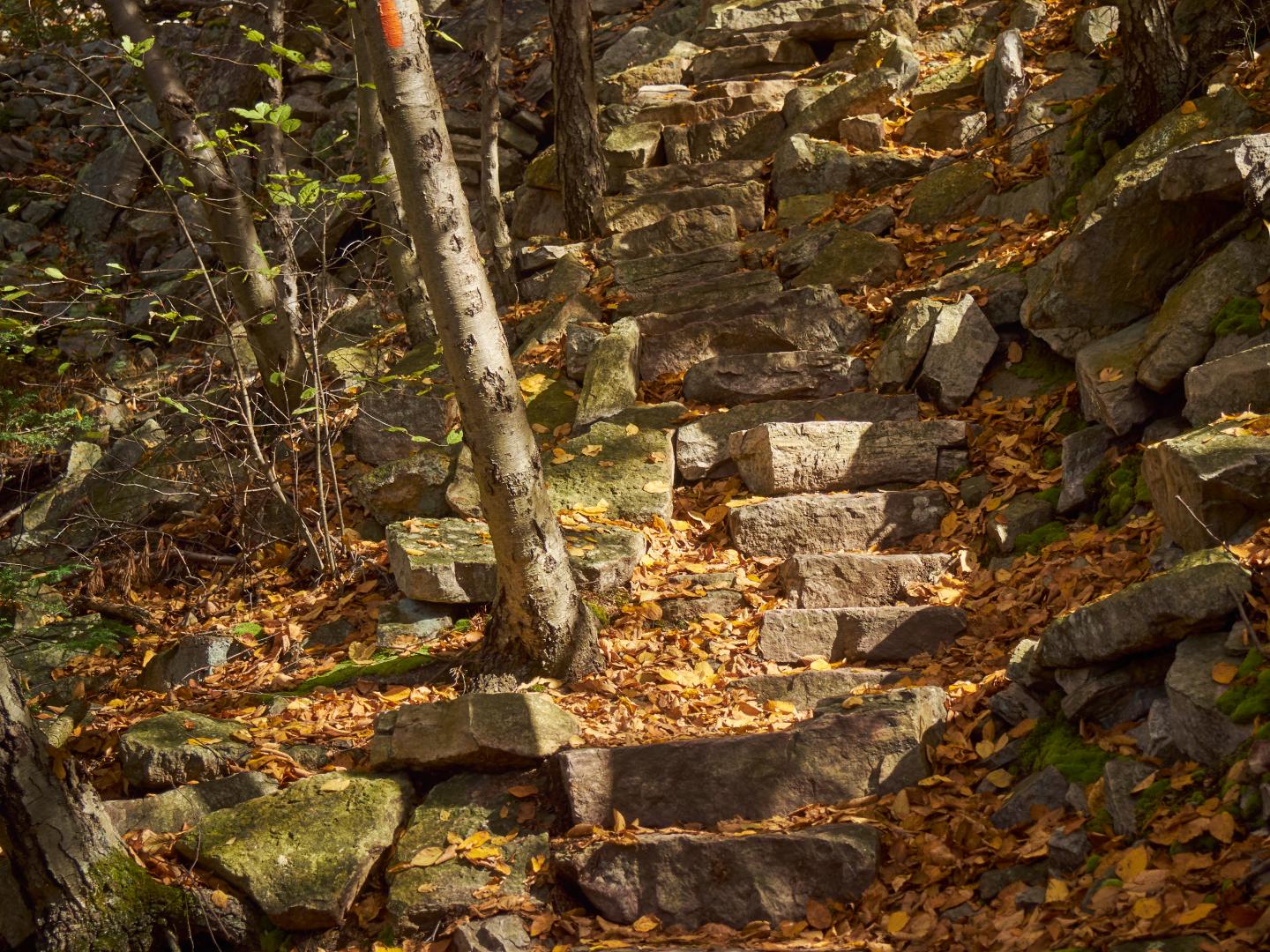 1000 step trail in PA