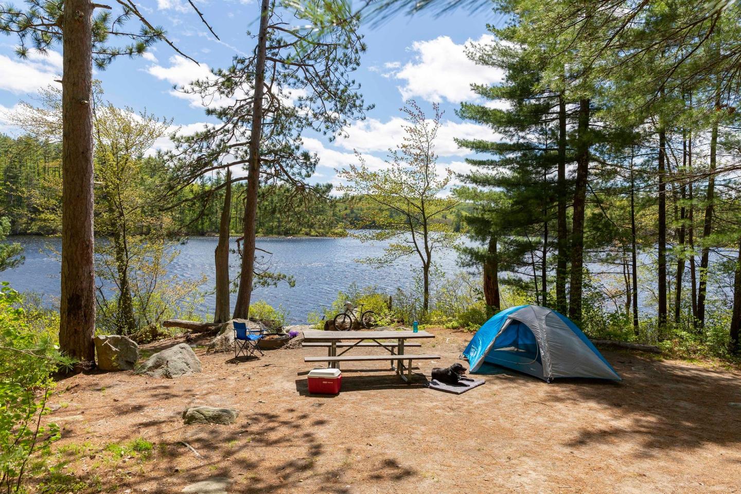 NH Campground shot