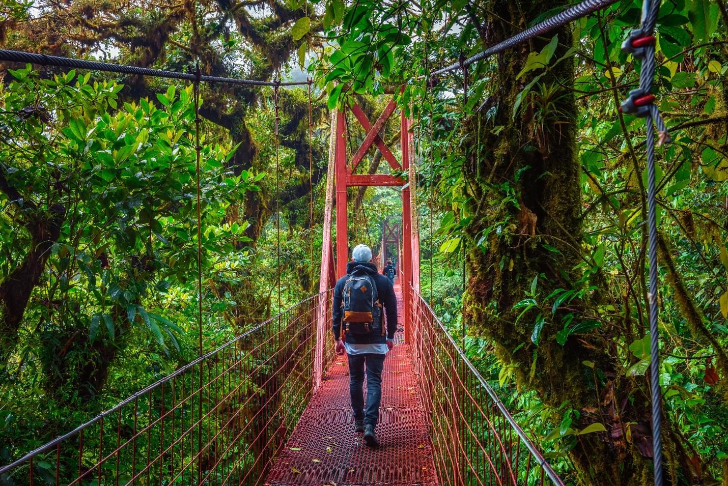 Monteverde Cloud Forest