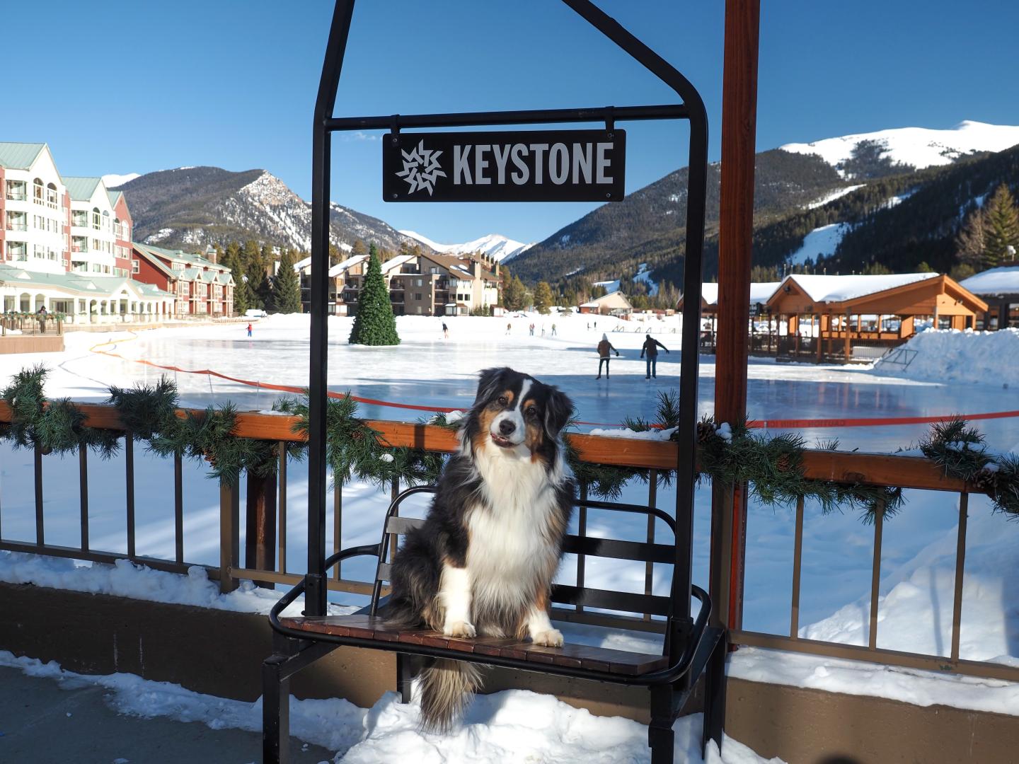 Dog sitting on a bench with snowy mountains and an ice rink and Keystone sign in the background.