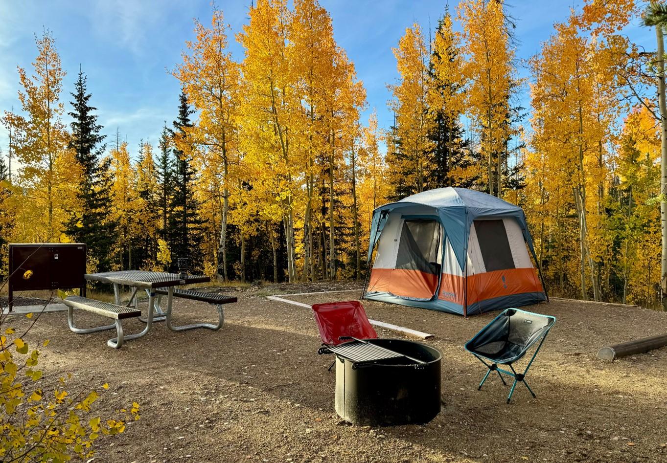 Camping site with a pitched tent, chairs, and fall trees.