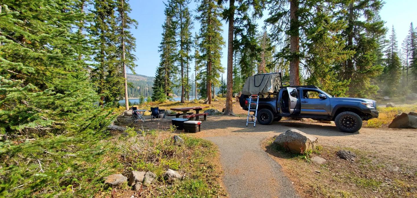 Truck parked at a forest campsite with picnic table and pine trees.