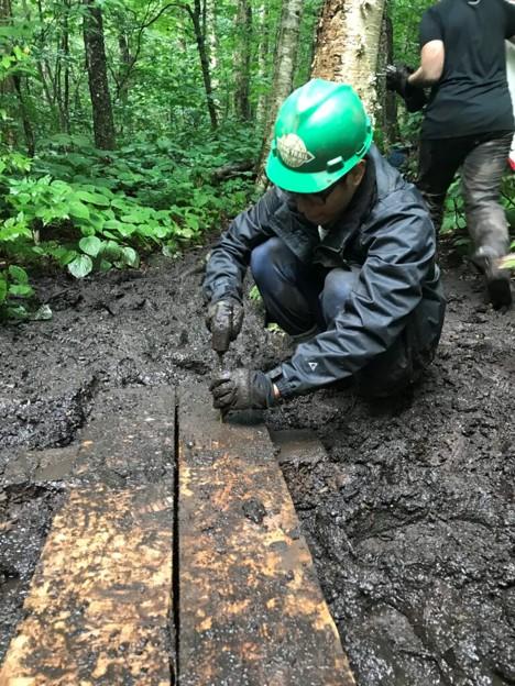 Trail work along the Long Trail. Photo courtesy of Green Mountain Club 