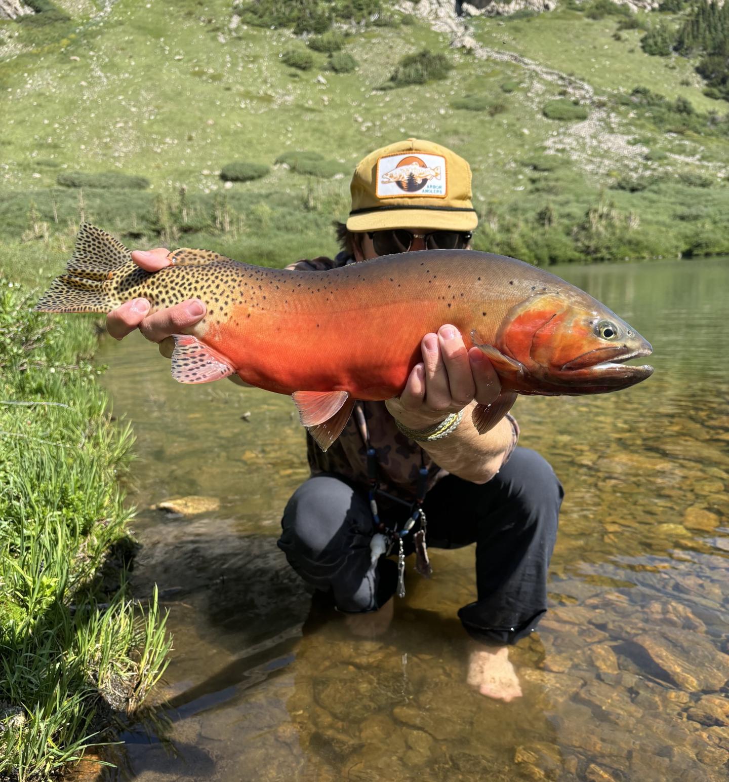 Matthew fishing